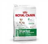 ROYAL CANIN MINI STARTER MOTHER & BABYDOG 3KG
