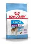 ROYAL CANIN GIANT JUNIOR 4KG CHIEN