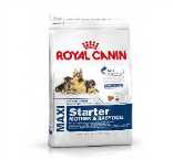 ROYAL CANIN MAXI STARTER / MOTHER & BABYDOG 4KG