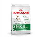 ROYAL CANIN MINI STARTER / MOTHER & BABYDOG 1KG