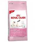 ROYAL CANIN BABYCAT 4KG