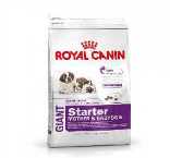 ROYAL CANIN GIANT STARTER 4KG