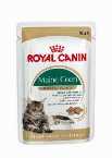 ROYAL CANIN WET MAINE COON 12x85GR