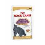 ROYAL CANIN WET BRITISH SHORTHAIR 12x85GR