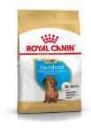 RC BREED DACHSHUNG JUNIOR 1 5KG