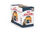 ROYAL CANIN INTENSE BEAUTY 12x85GR CHAT