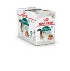 ROYAL CANIN INSTINCTIVE +7 12x85GR CHAT