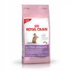 ROYAL CANIN KITTEN STERILISED 2KG CHATON