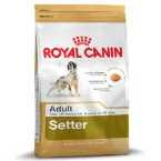 ROYAL CANIN BREED SETTER ANGLAIS 3KG